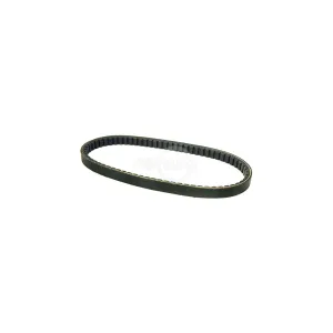 BELT DRIVE 3/8" X 31" SIMPLICITY