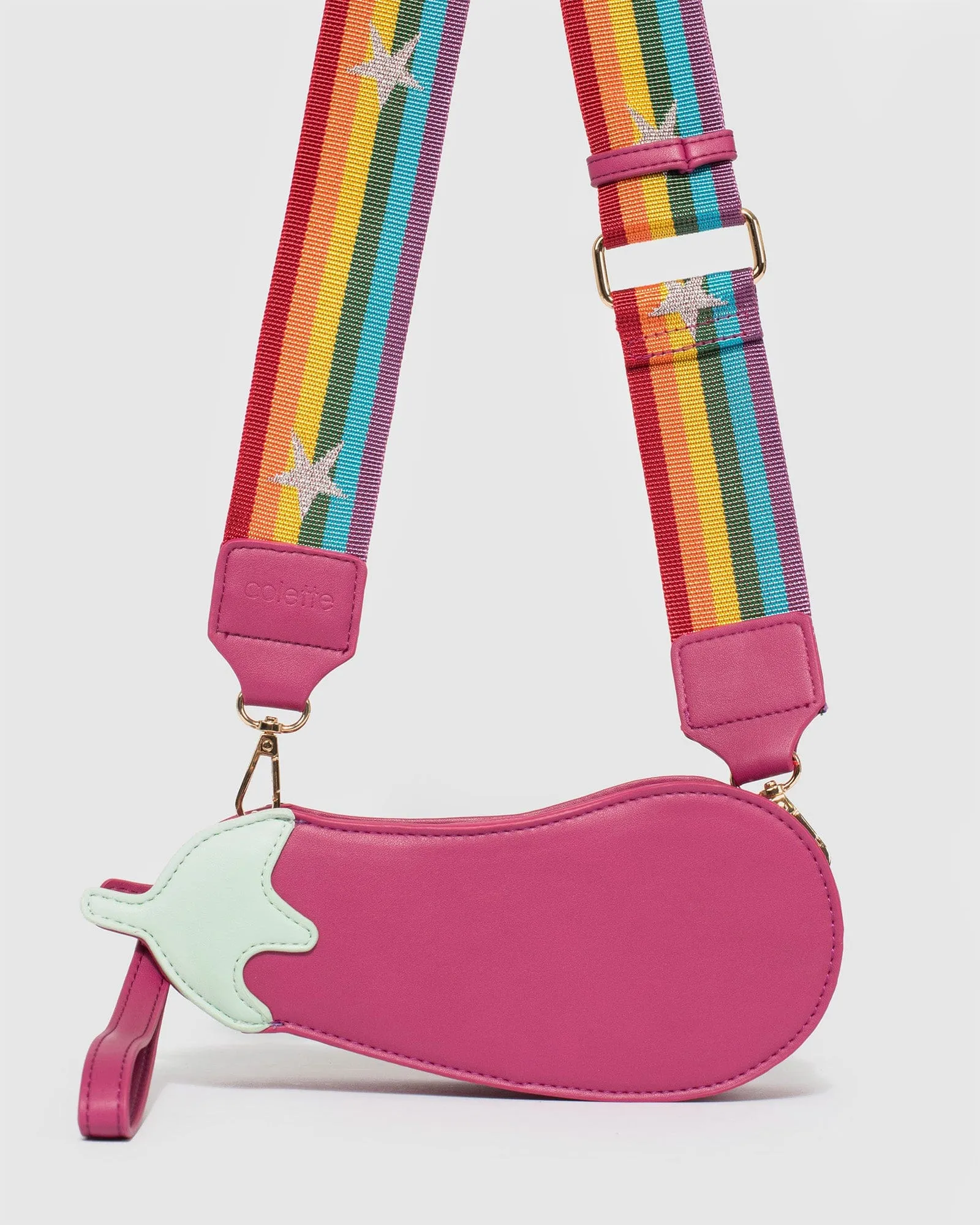 Multi Colour Eggplant Crossbody Bag