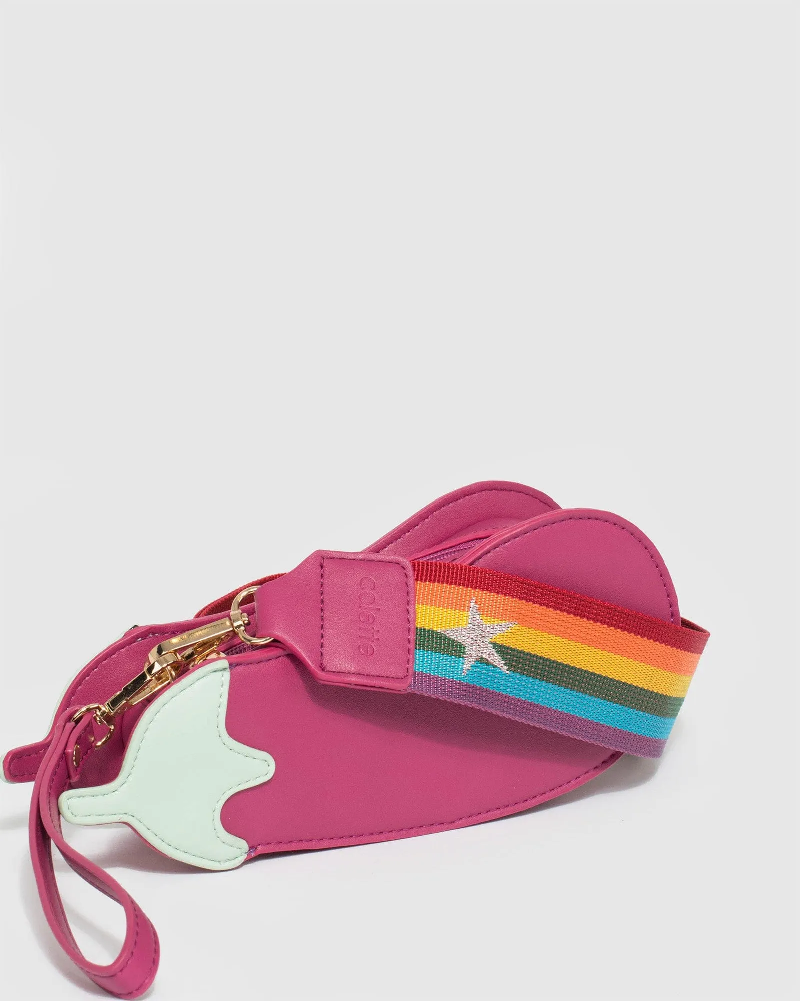 Multi Colour Eggplant Crossbody Bag